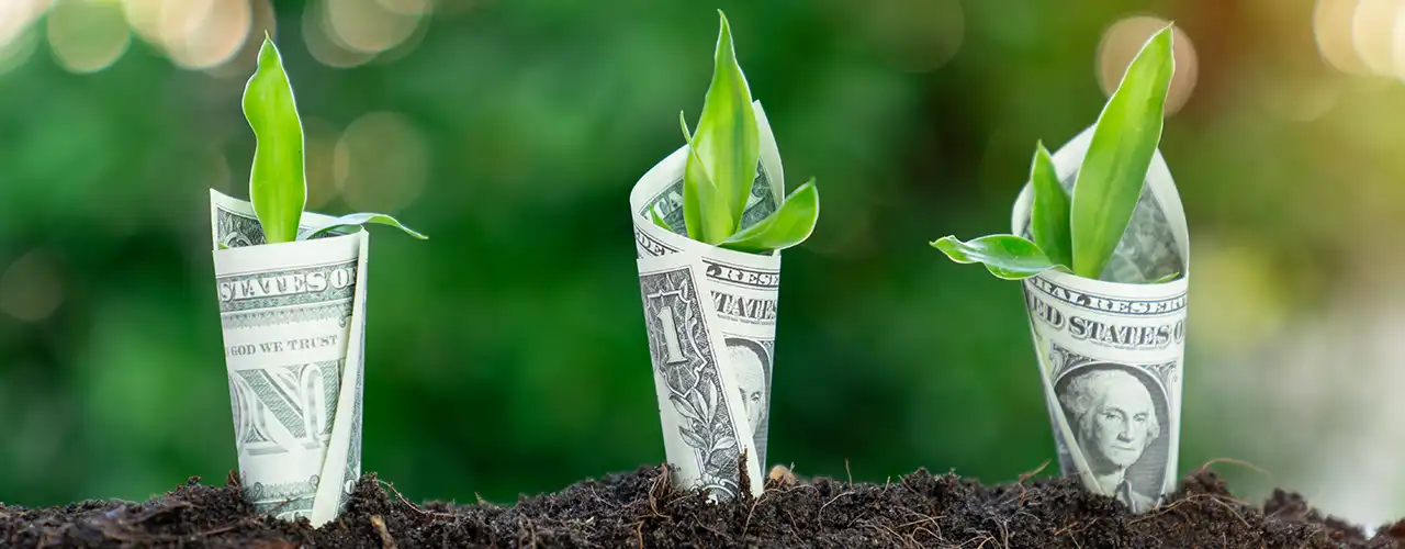 Three one dollar bills planted into dirt with leaves growing from them to represent the value of reducing carbon offsets.